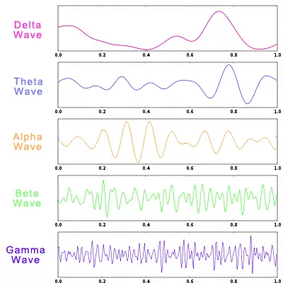 Brainwave-States-delta-theta-alpha-beta-gamma